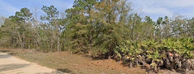 Union Ave, Interlachen FL, 32148 land for sale