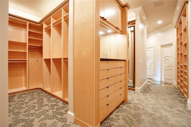 spacious closet with carpet floors