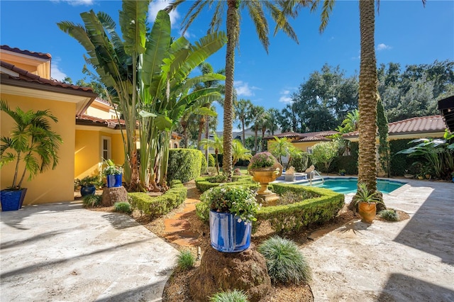 view of yard featuring a patio area