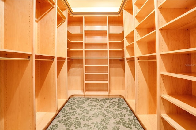 view of walk in closet