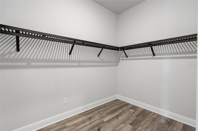 walk in closet with wood-type flooring