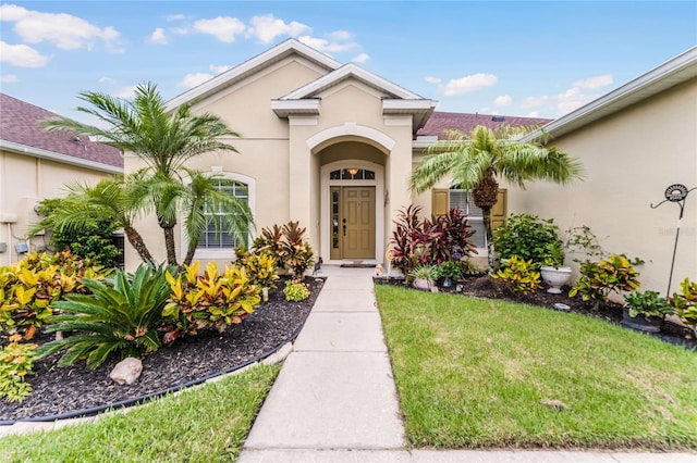 doorway to property with a lawn and stucco siding