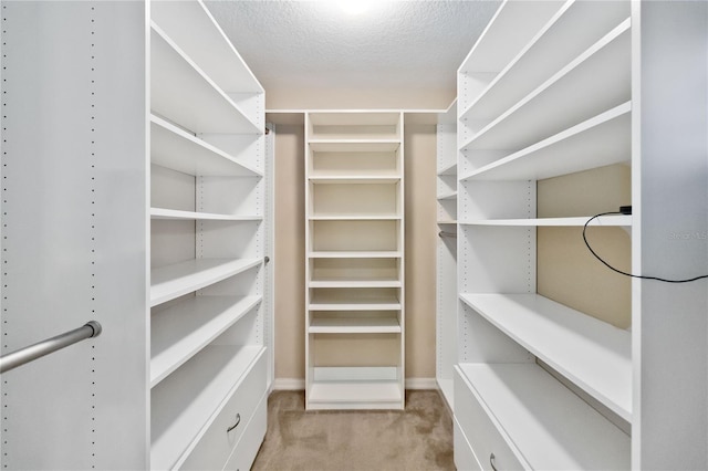 walk in closet with light colored carpet