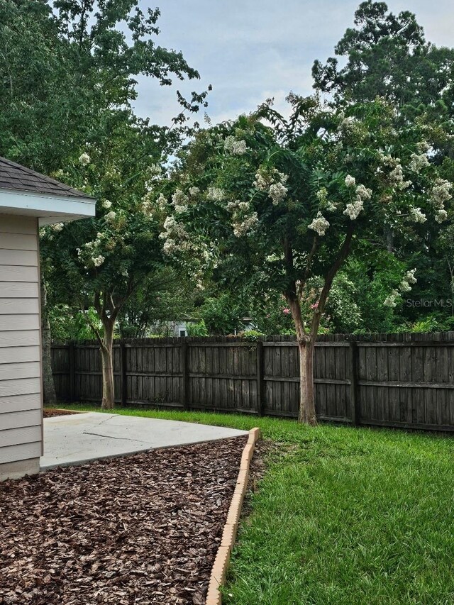 view of yard featuring a patio area