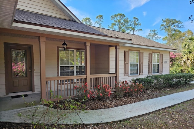 view of exterior entry with roof with shingles and a porch