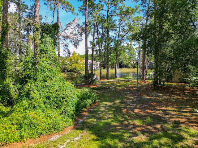 view of yard featuring a water view