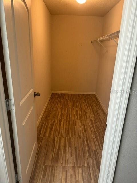 spacious closet featuring hardwood / wood-style floors