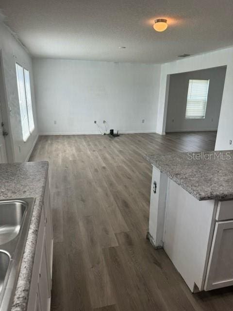 kitchen with plenty of natural light, dark hardwood / wood-style floors, white cabinetry, and sink