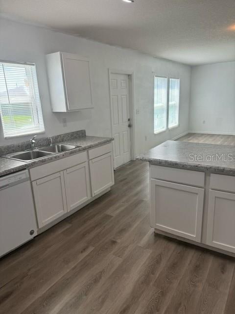 kitchen with white dishwasher, white cabinetry, a wealth of natural light, and sink