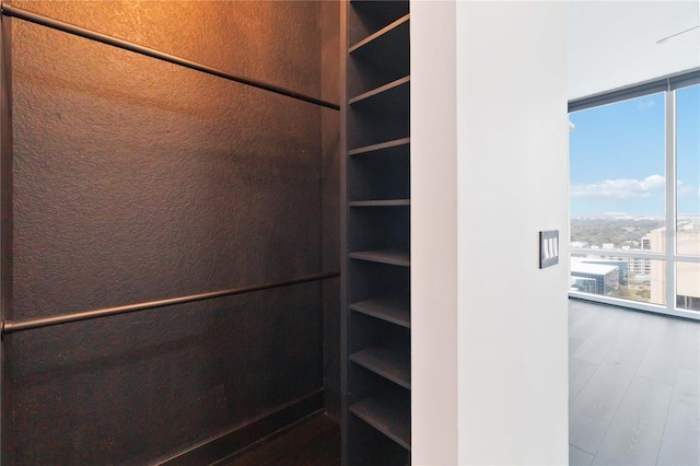 walk in closet featuring hardwood / wood-style flooring