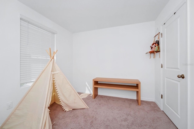 playroom with carpet