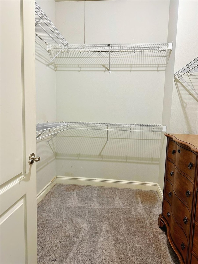 walk in closet with carpet