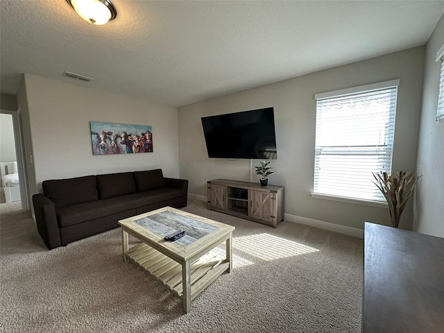 living room with a textured ceiling and carpet flooring