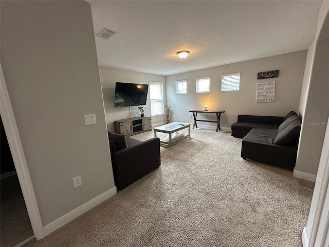 living room featuring a textured ceiling and carpet