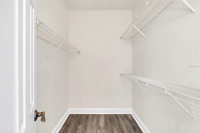 spacious closet with wood-type flooring