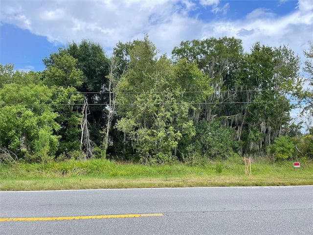 E Lake Shore Blvd, Kissimmee FL, 34744 land for sale