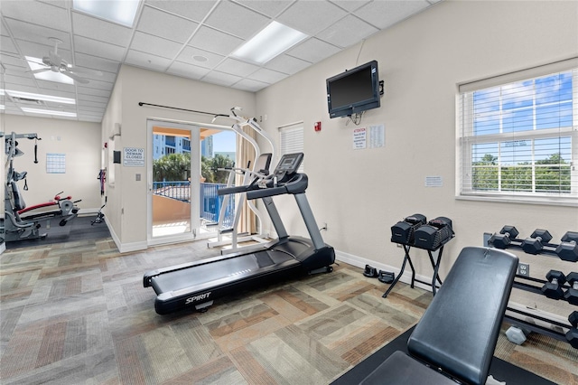 workout area featuring plenty of natural light, a paneled ceiling, ceiling fan, and carpet