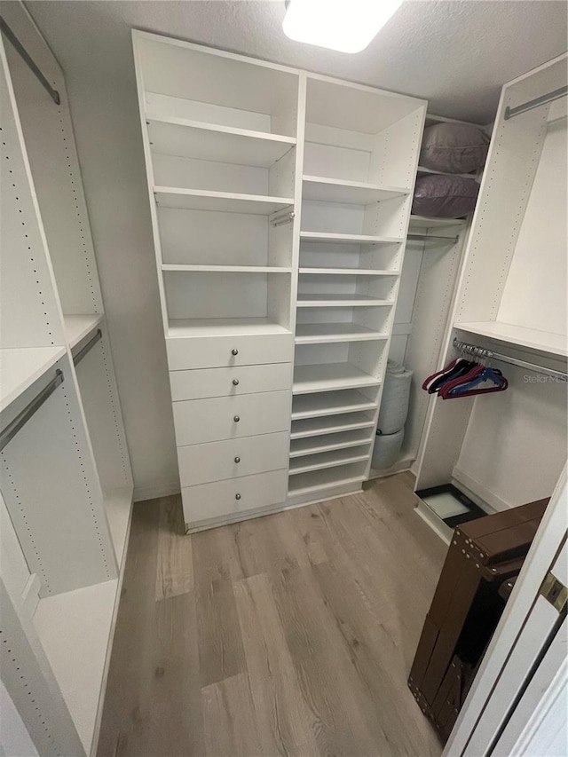 walk in closet with light wood-type flooring