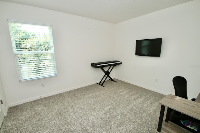 view of carpeted office space