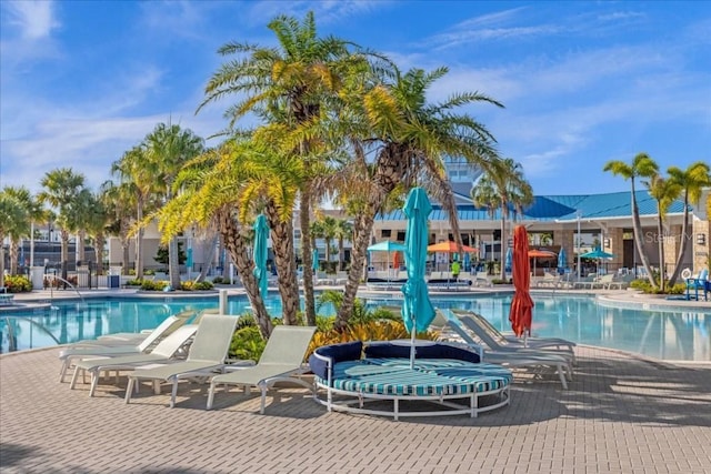 view of swimming pool with a patio area