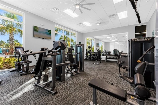 gym featuring a drop ceiling, carpet flooring, visible vents, and a ceiling fan