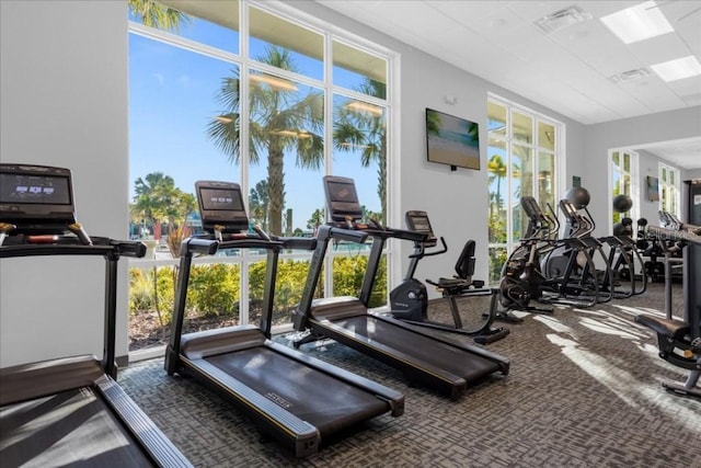 exercise room featuring carpet floors and visible vents