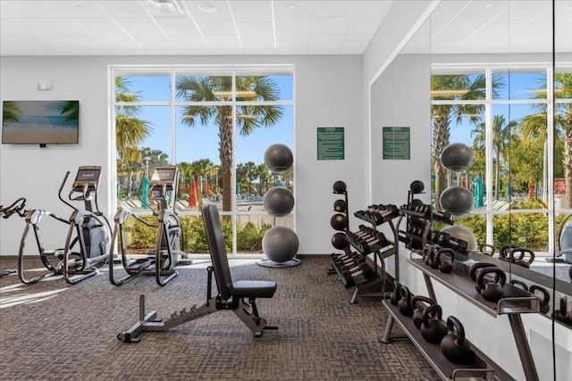 gym featuring carpet