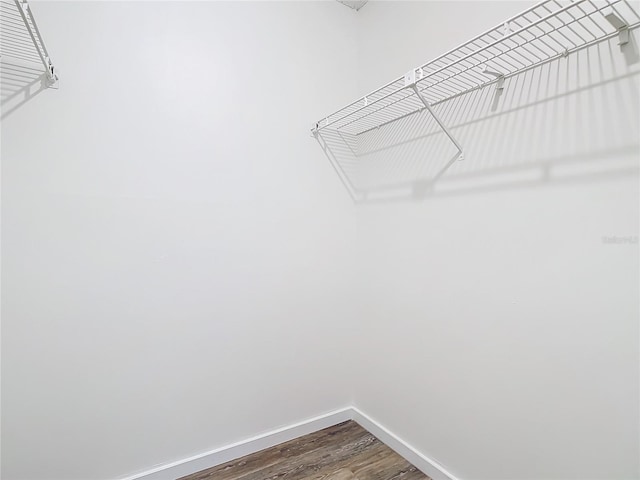 spacious closet with wood-type flooring