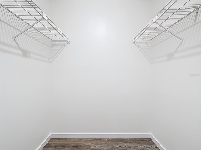 walk in closet with wood-type flooring