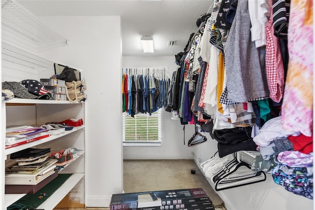 view of spacious closet