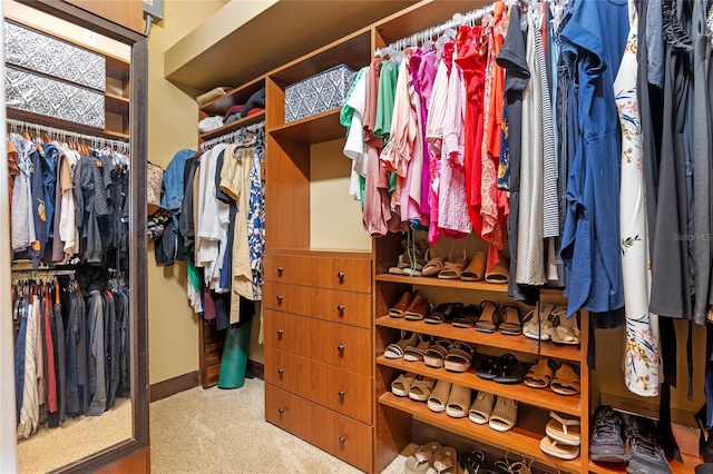 spacious closet featuring carpet flooring