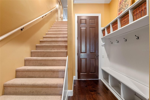 mudroom with ornamental molding and dark wood-type flooring