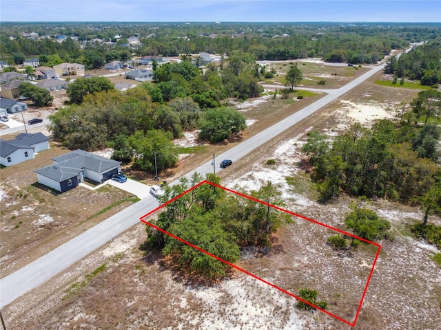 1344 Hillsborough Ct, Poinciana FL, 34759 land for sale