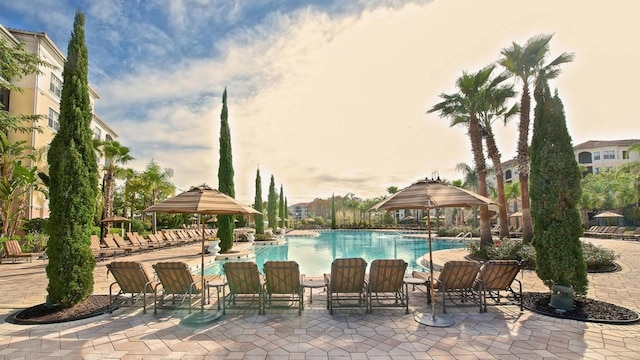 view of pool with a patio