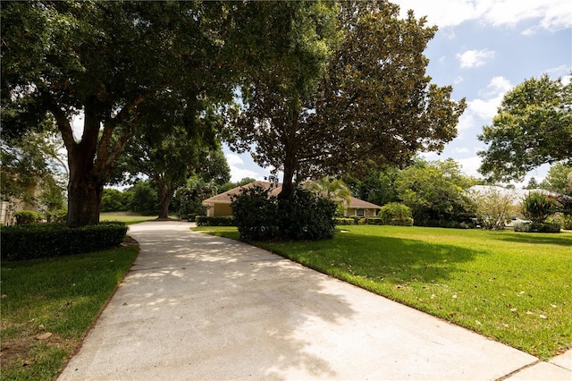 view of property's community with a lawn