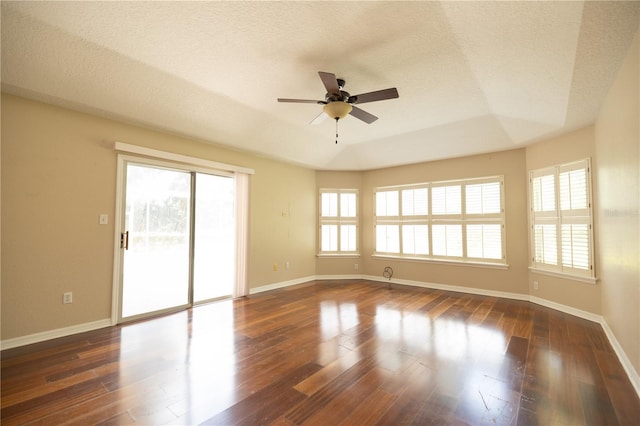 spare room featuring a tray ceiling, a wealth of natural light, and dark hardwood / wood-style floors