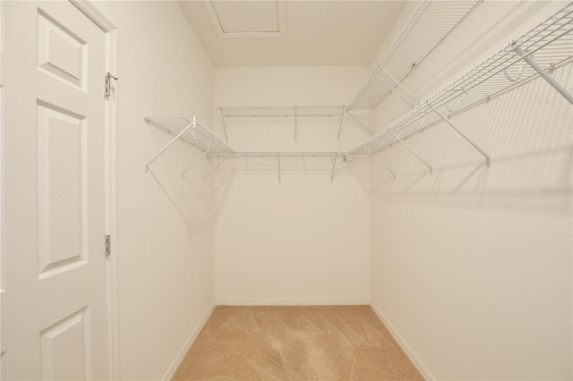 walk in closet featuring light carpet