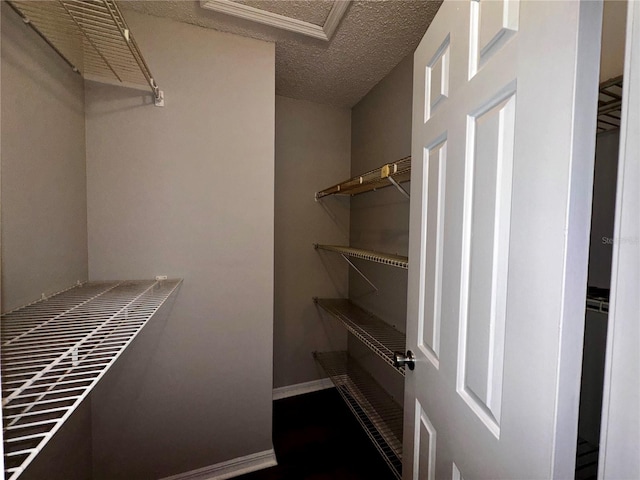 view of walk in closet