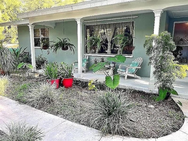 property entrance featuring a porch