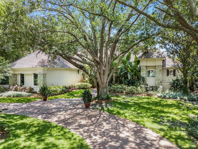 view of front of property featuring a front yard