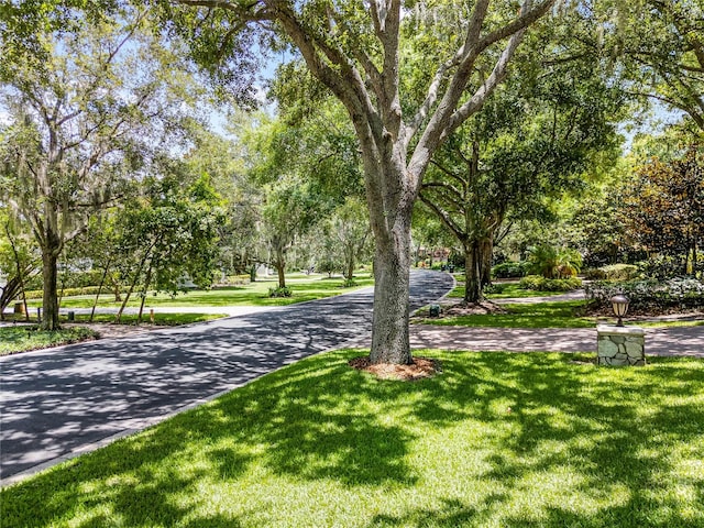 surrounding community featuring a yard