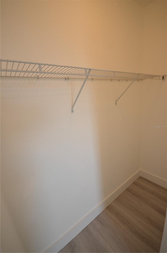 walk in closet with wood finished floors