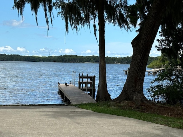 dock area featuring a water view