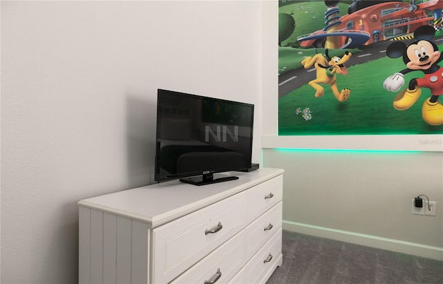 room details with carpet flooring