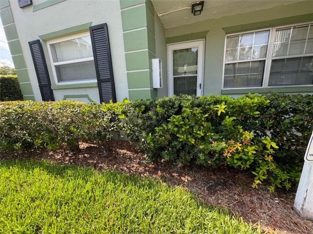 view of exterior entry with stucco siding