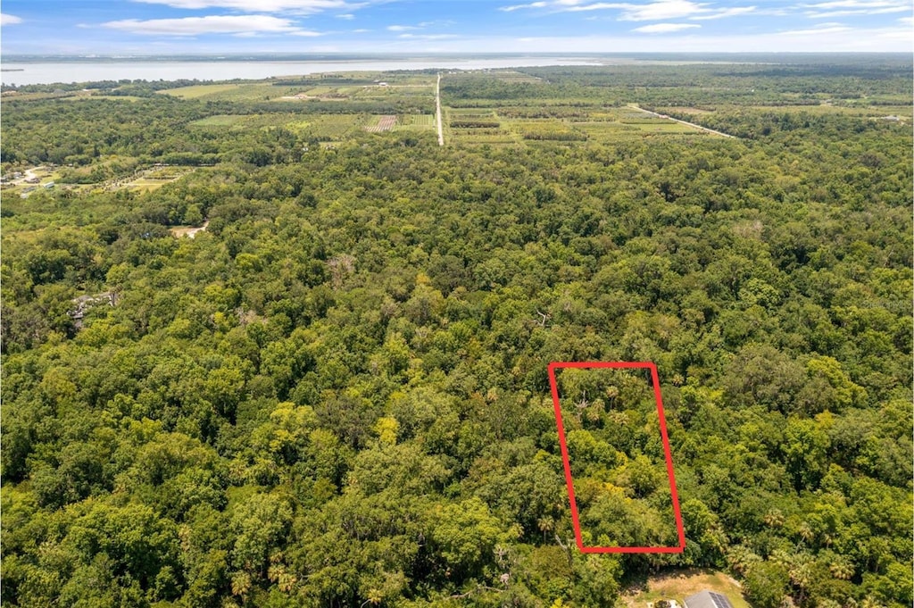 Shady Palm Cv, Oviedo, FL 32765 - photo 3