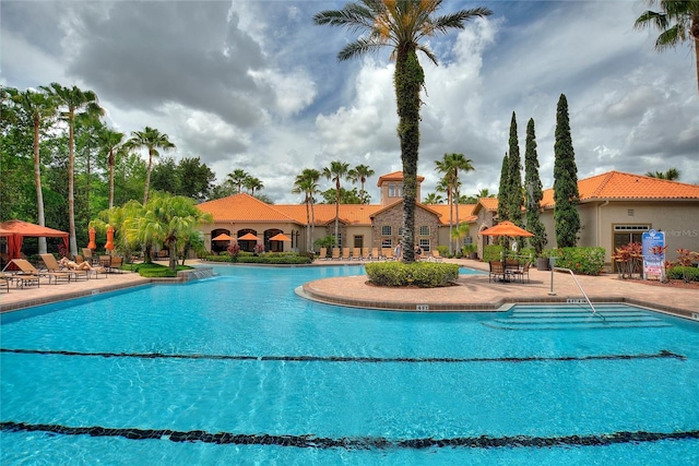 view of swimming pool with a patio