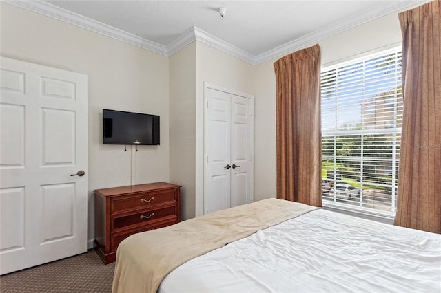 bedroom with a closet, carpet floors, and ornamental molding