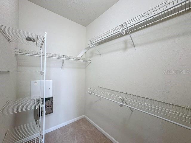 spacious closet with carpet floors