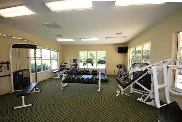 workout area featuring carpet floors and visible vents